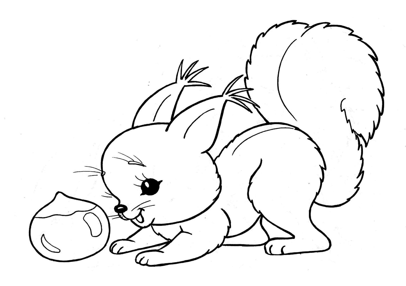 Animals2
