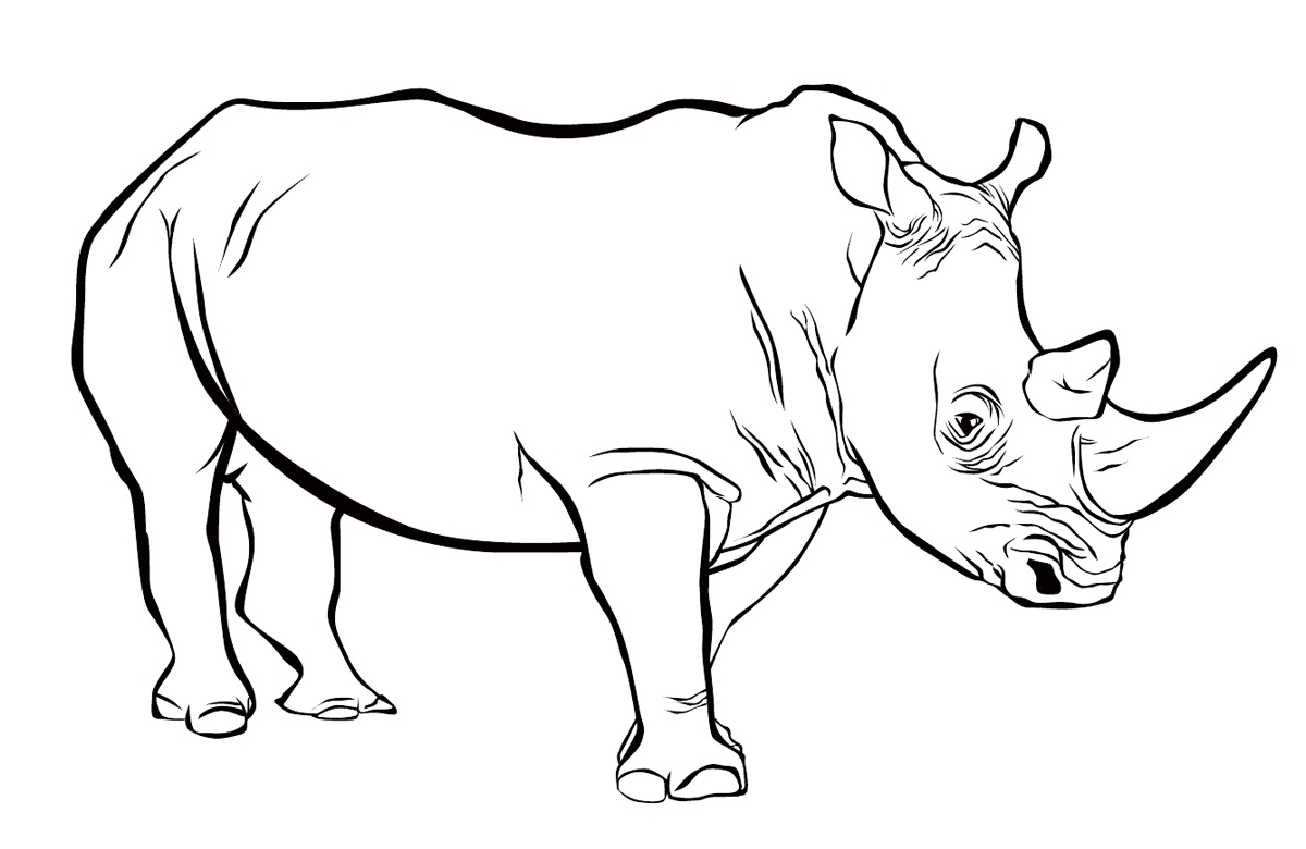 Animals6