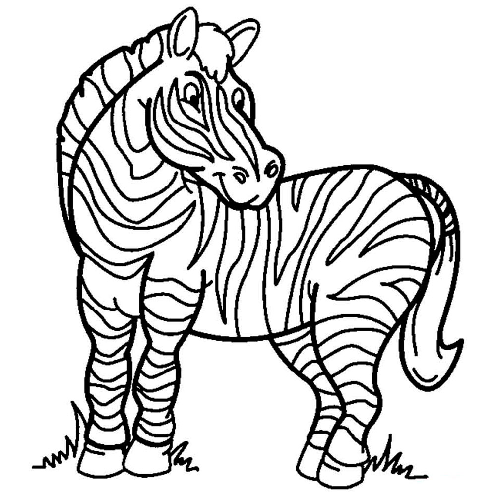 Animals7