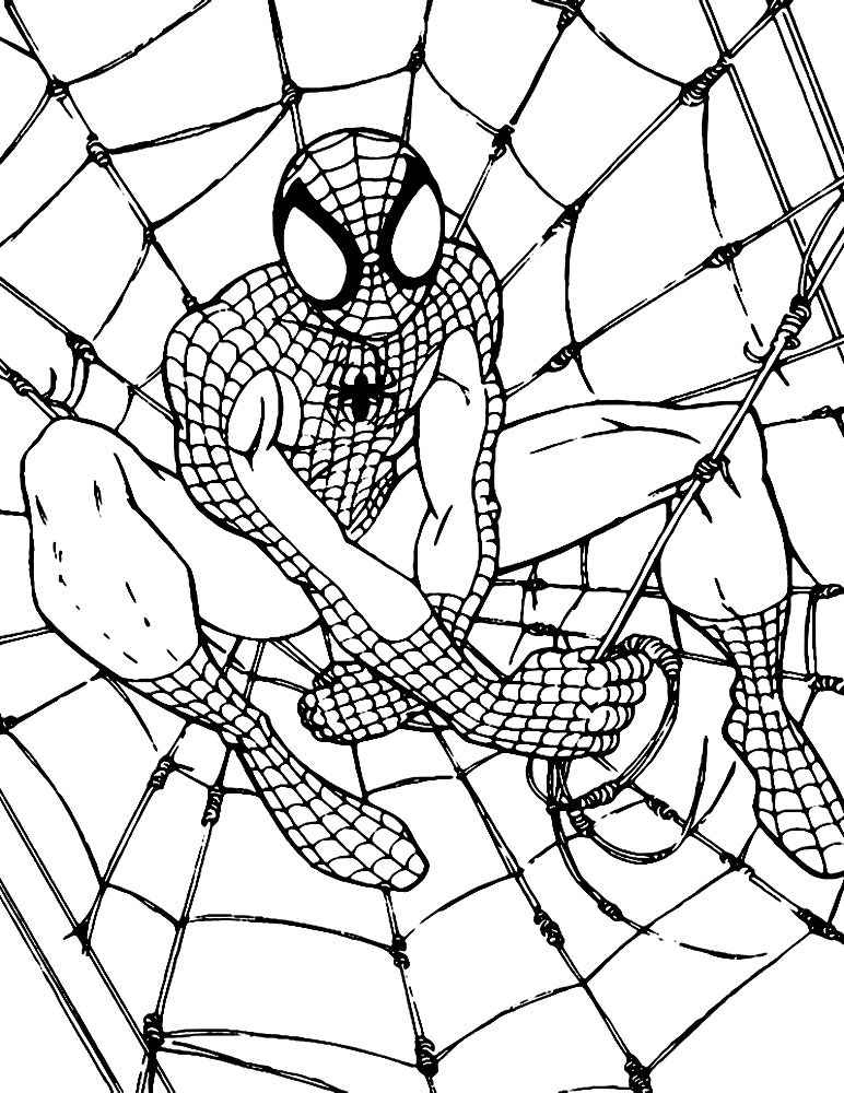 Spiderman4