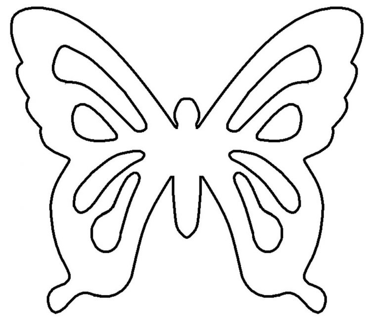 butterfly1