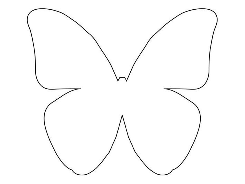 butterfly2
