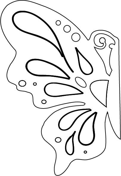 butterfly5