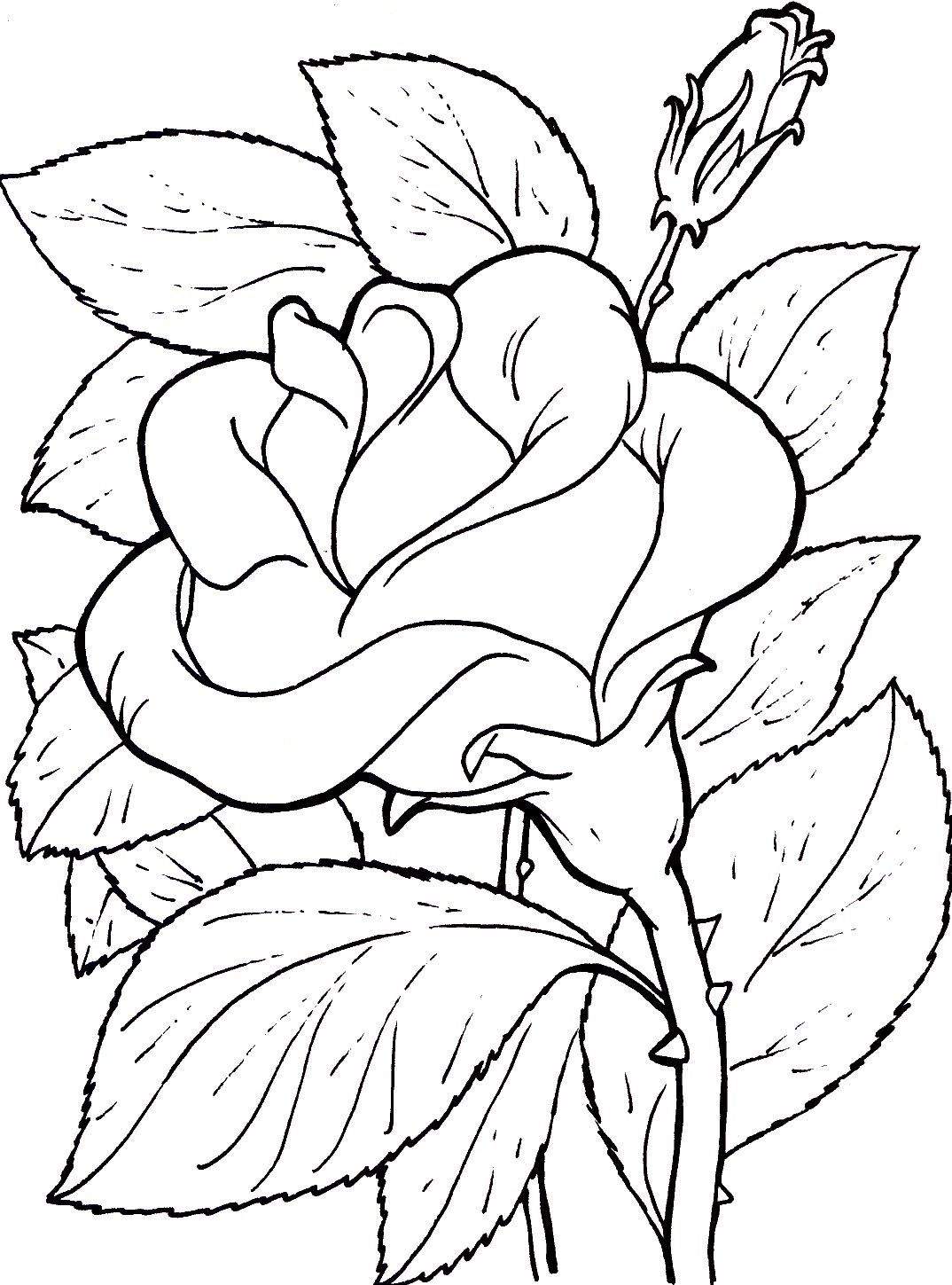 flowers3