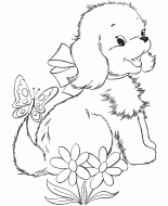 Dog1216