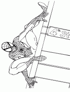 Spiderman11