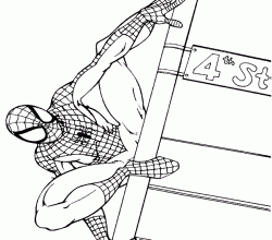 Spiderman11