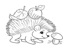 animals-153-1-1