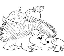 animals-153-1-1