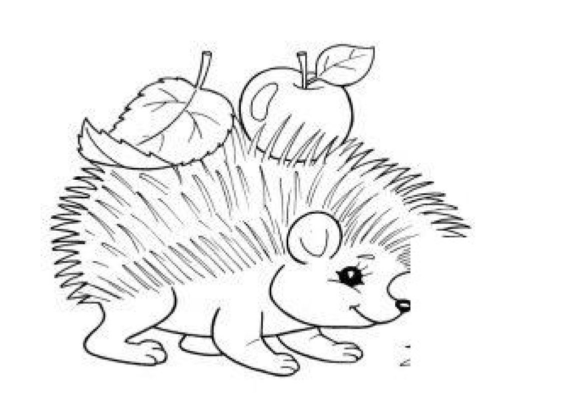 animals-153-1