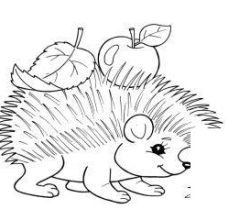 animals-153-1