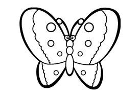 butterfly-286-3