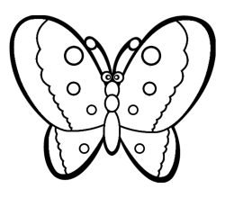 butterfly-286-3