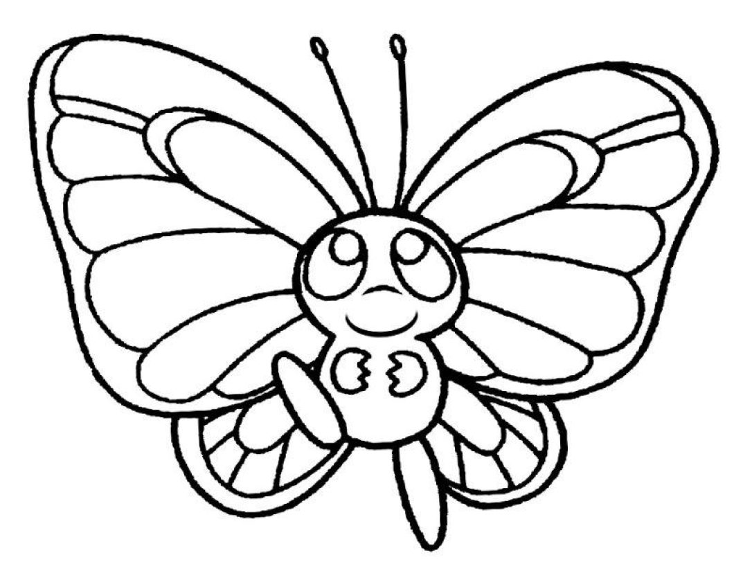 butterfly-286-4