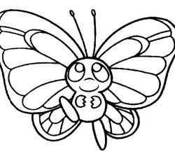 butterfly-286-4