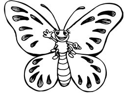 butterfly-286-5