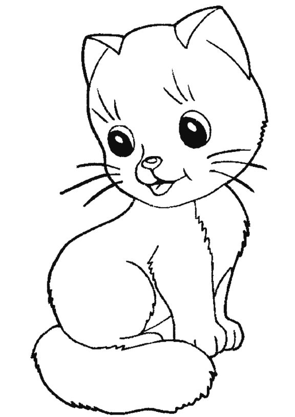 cat-294-1