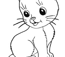 cat-294-1