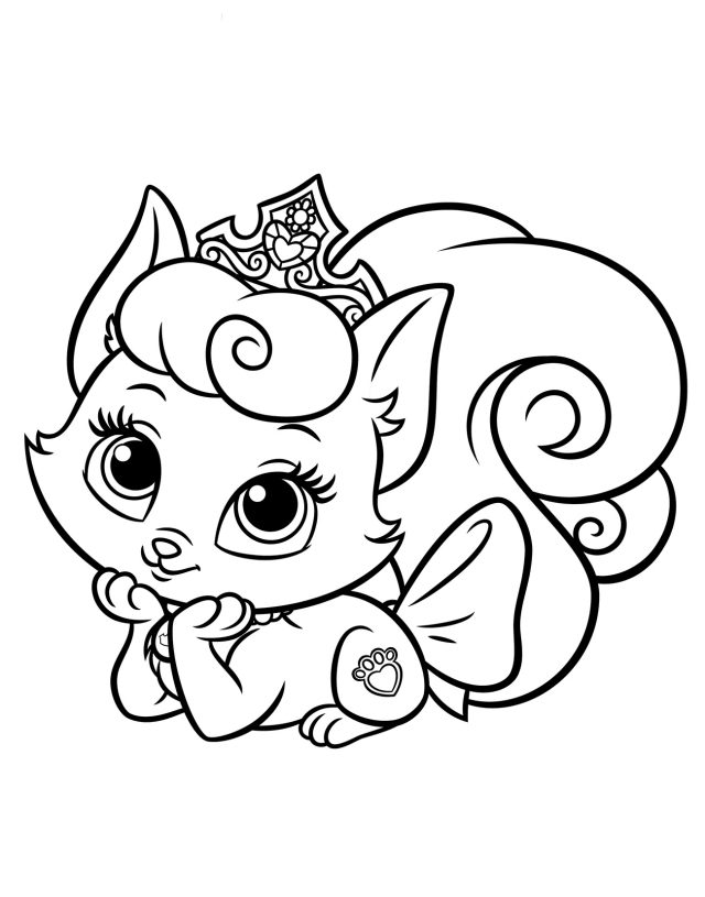 cat-294-3