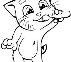 cat-294-4