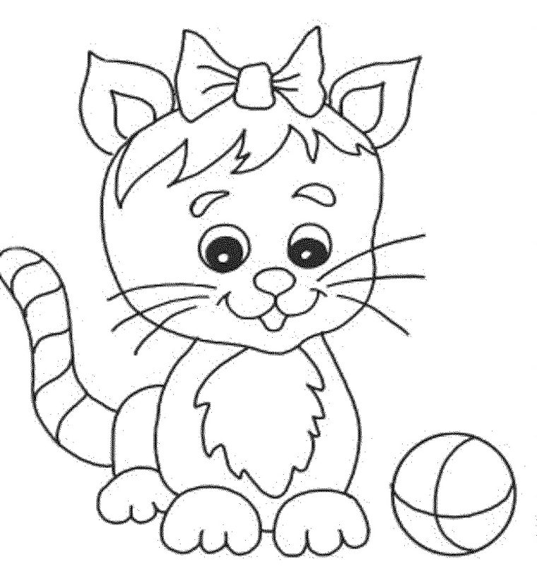 cat-294-5