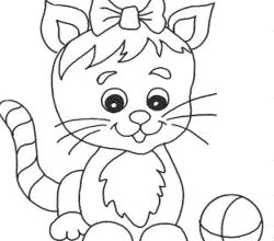 cat-294-5