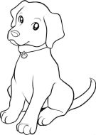 dog-292-1