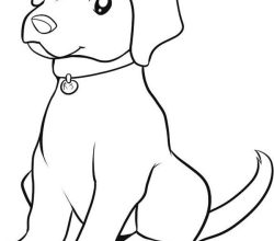 dog-292-1