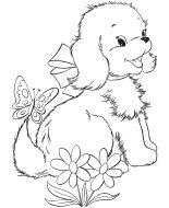 dog-292-3