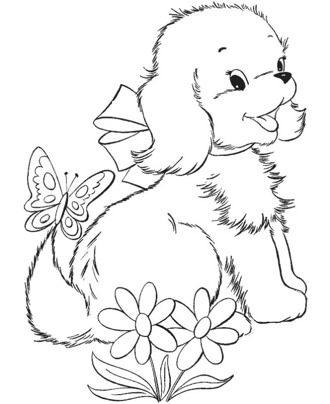 dog-292-3