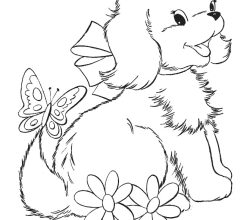 dog-292-3