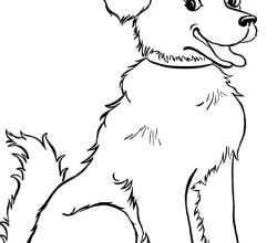 dog-292-5