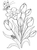 flowers-282-1