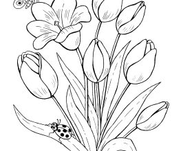 flowers-282-1