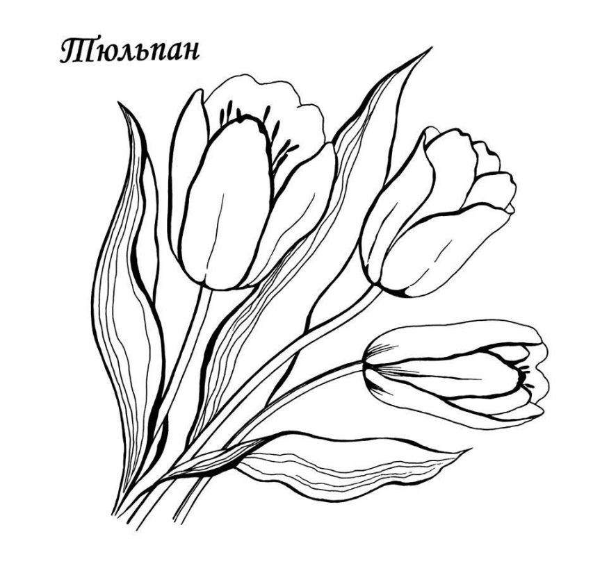 flowers-282-3
