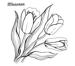 flowers-282-3