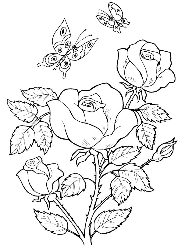 flowers-282-4