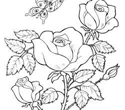 flowers-282-4