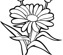 flowers-282-5