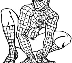 spiderman-157-4