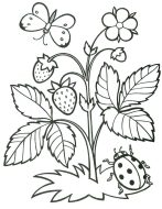 summer-159-3