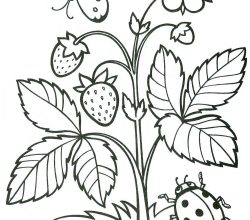 summer-159-3